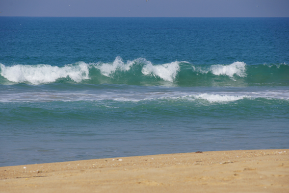 Surf Fishing - Ninety Mile Beach, Seaspray, Gippsland, VIC » POI
Australia