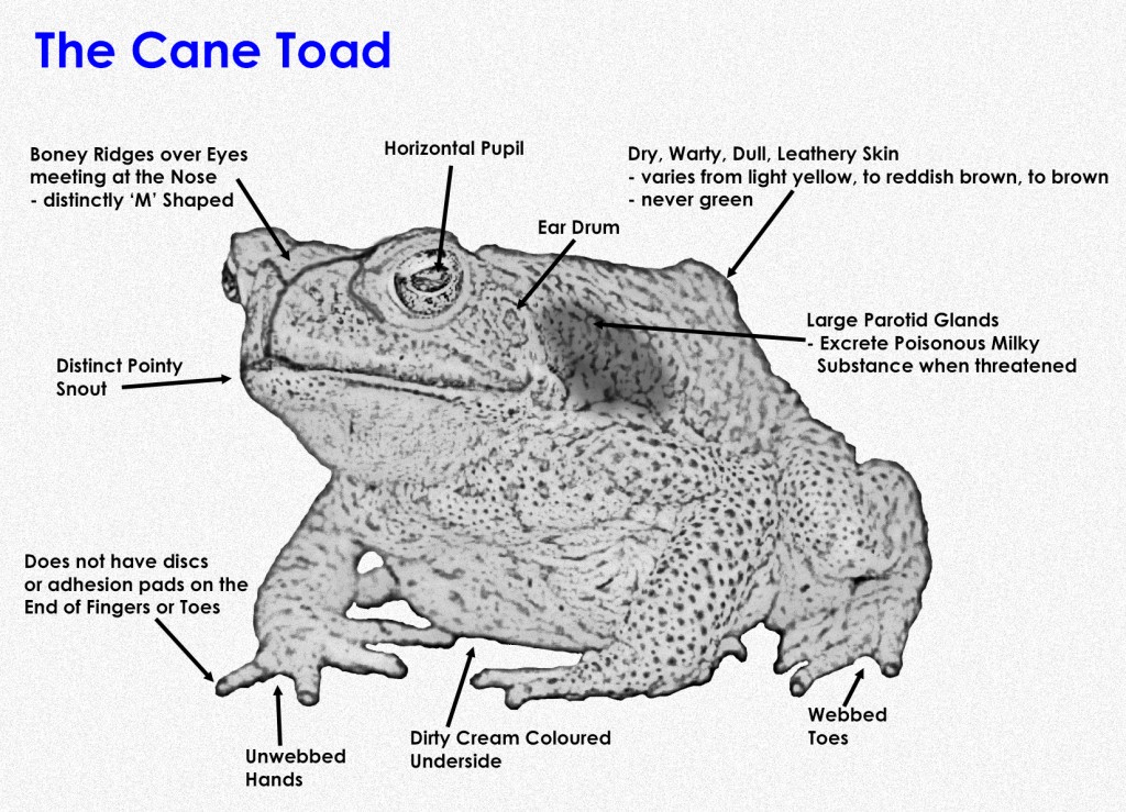 [DIAGRAM] Er Diagrams In Toad - MYDIAGRAM.ONLINE