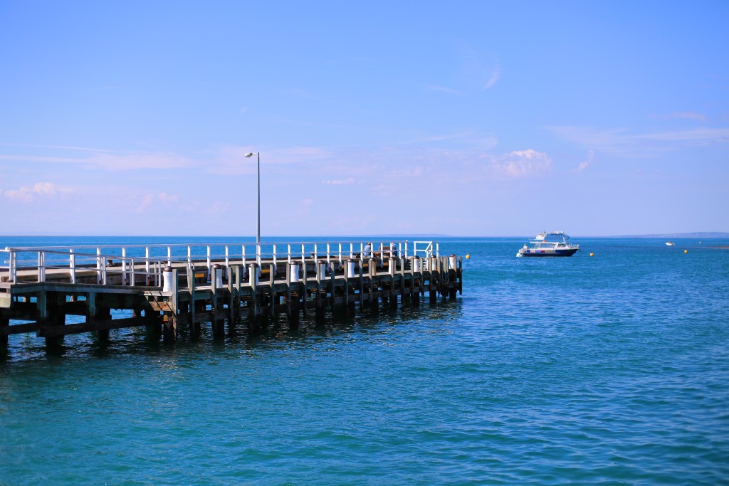 Portsea Pier c 1870's - Nth End WE Newton Reserve, Portsea, Mornington ...